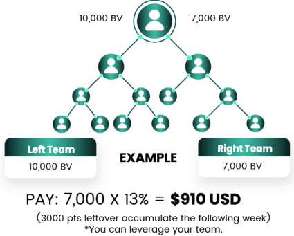 vitalhealth rewards plan